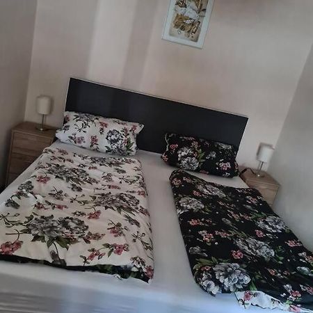 Elgersburg Gemuetliche Ferienwohnung Am Waldrand מראה חיצוני תמונה
